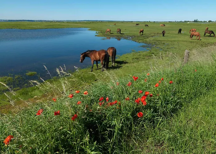 Inselloft Lejlighed *